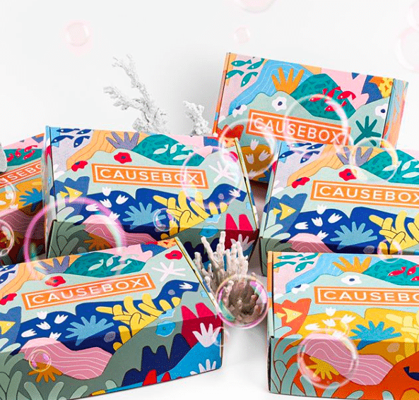 Causebox Subscription Review 3 Causebox Subscription Review 2