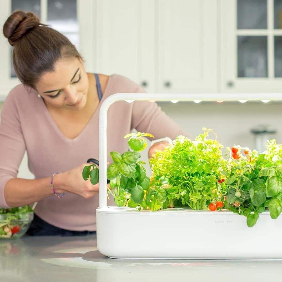 10 Best Indoor Growing Systems 13 Best Indoor Growing Systems