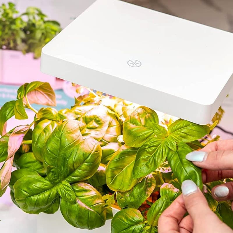 10 Best Indoor Growing Systems 14 Best Indoor Growing Systems