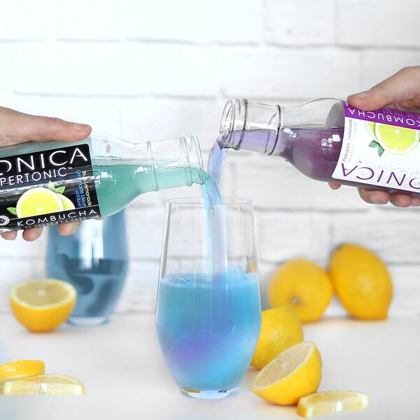 10 Best Kombucha Brands 11 Tonica