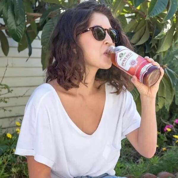 10 Best Kombucha Brands 14 Best Kombucha Brands