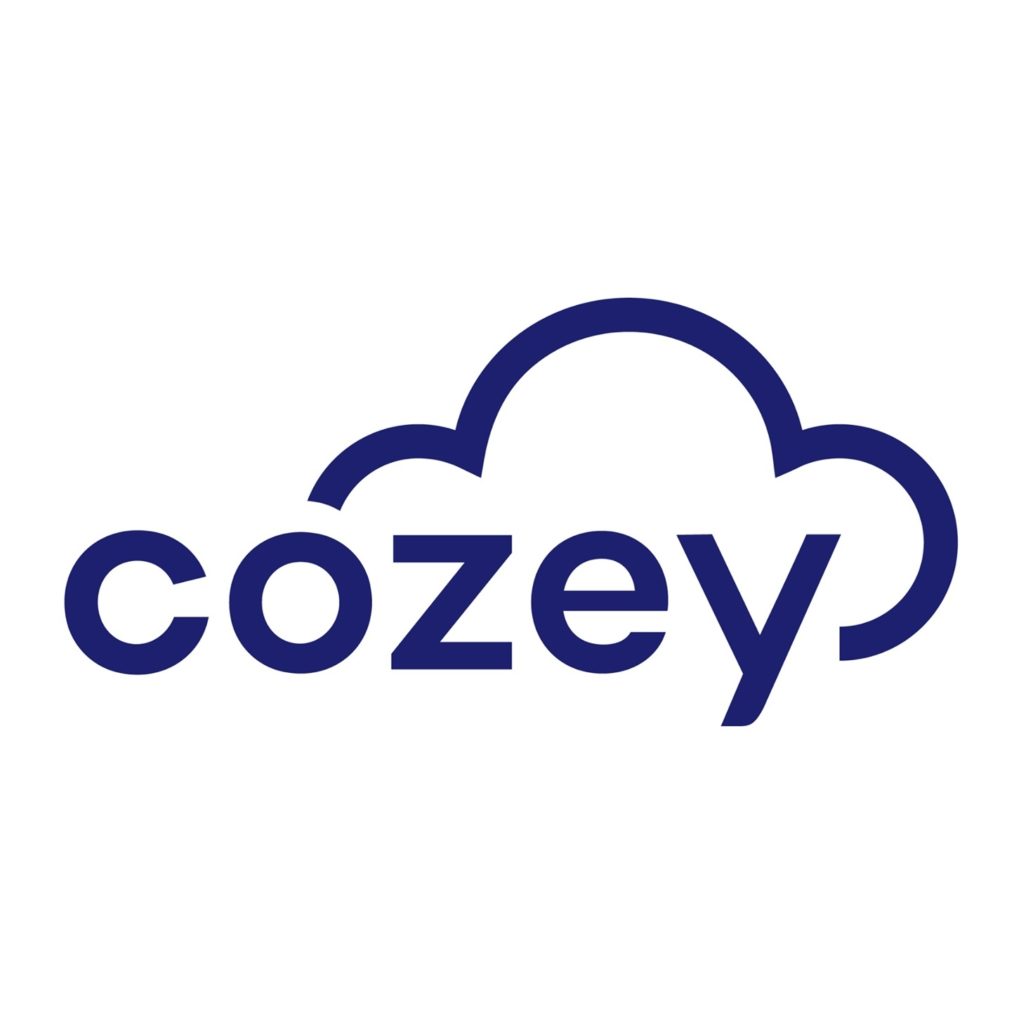 Cozey Review Cozey Sofa Review