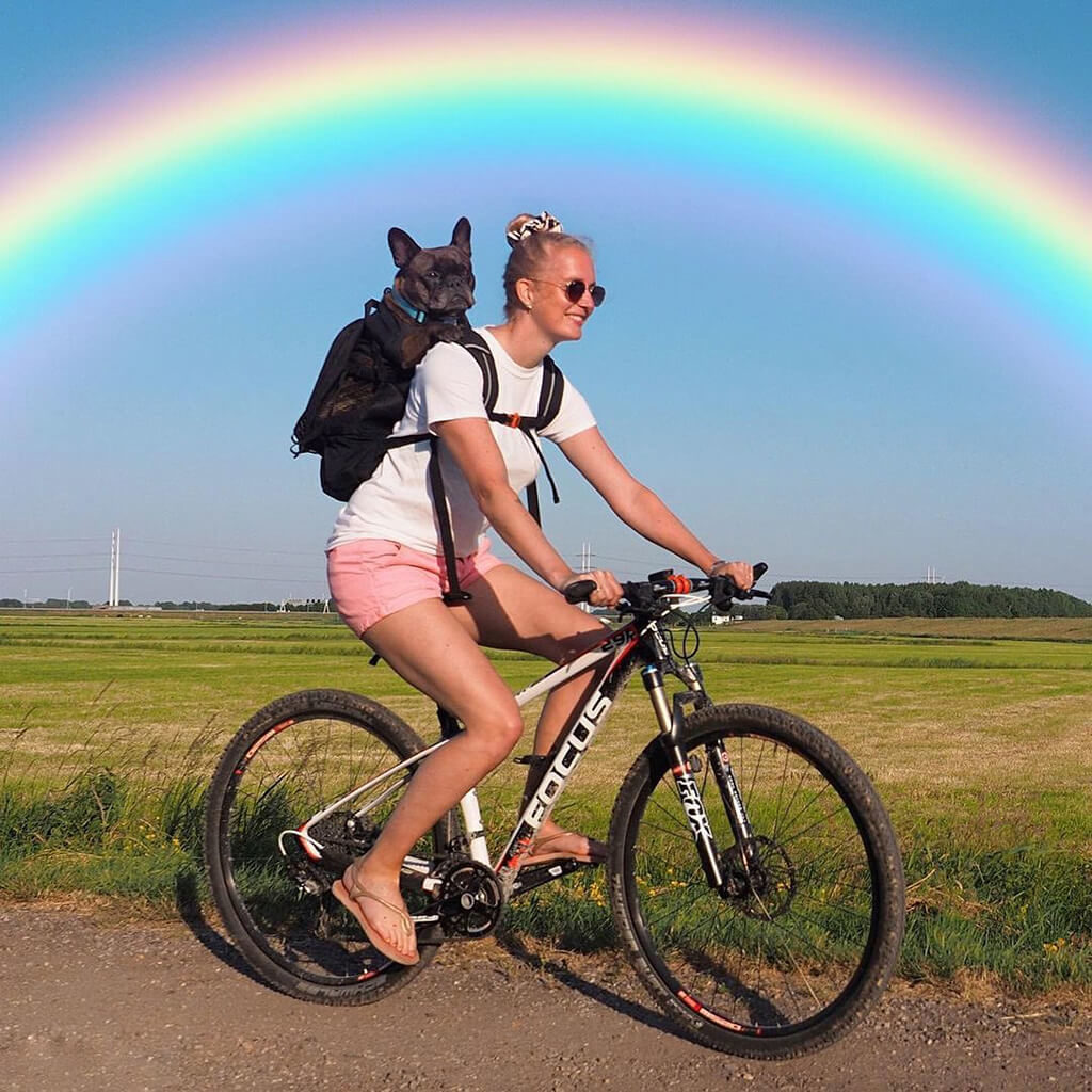K9 Sport Sack Review
