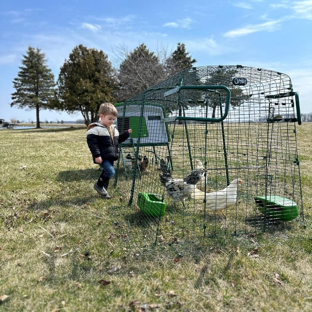 Omlet Eglu Chicken Coops Review: A Comprehensive Guide to Choosing the Best Coop for Your Chickens
